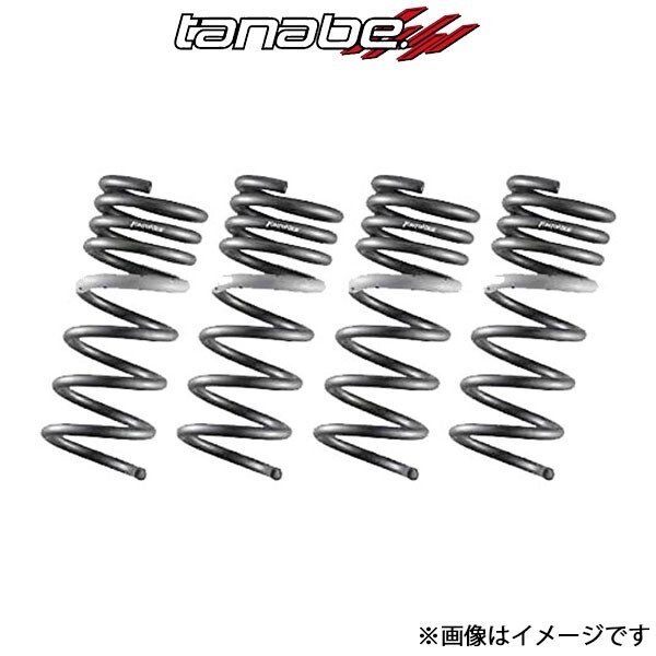タナベ GT FUNTORIDE SPRING ダウンサス 1台分 キャロル HB36S HA36SFK TANABE サスペンション スプリング