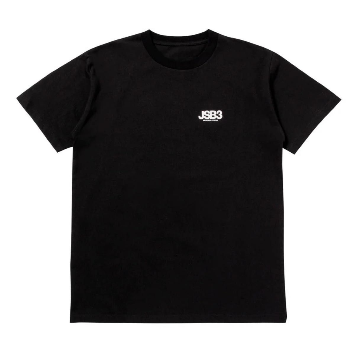 三代目J Soul Brothers 10周年ツアーTシャツ Lサイズ 歴代 三代目J Soul Brothers 10周年ツアーTシャツ Lサイズ 歴代