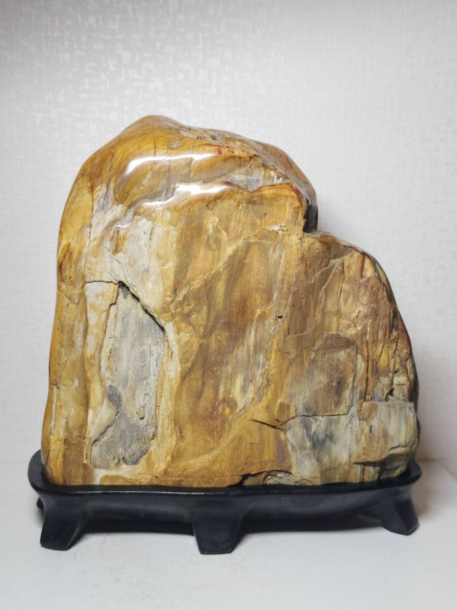 木化石】 12kg 珪化木 碧玉 ジャスパー 原石 鑑賞石 自然石 木化石】 12kg 珪化木 碧玉 ジャスパー 原石 鑑賞石 自然石