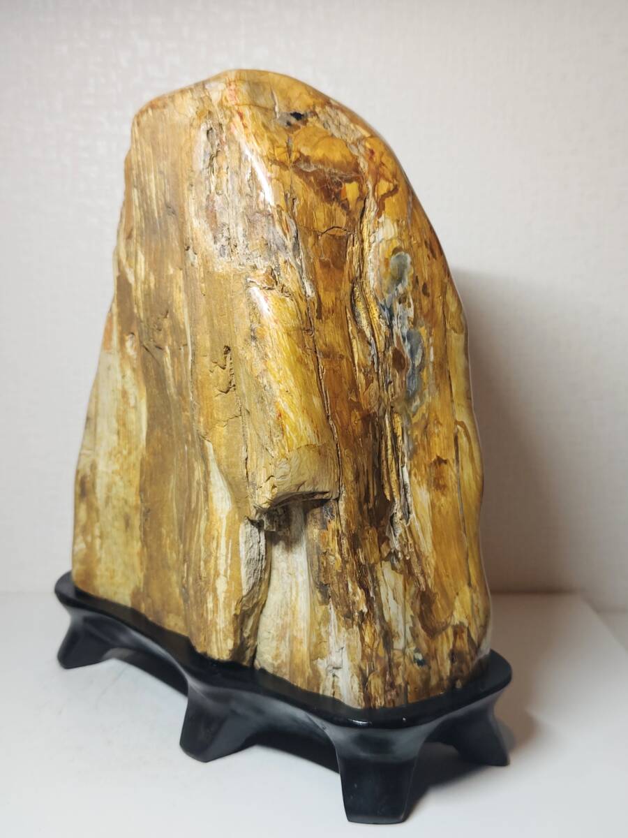木化石】 12kg 珪化木 碧玉 ジャスパー 原石 鑑賞石 自然石 木化石】 12kg 珪化木 碧玉 ジャスパー 原石 鑑賞石 自然石