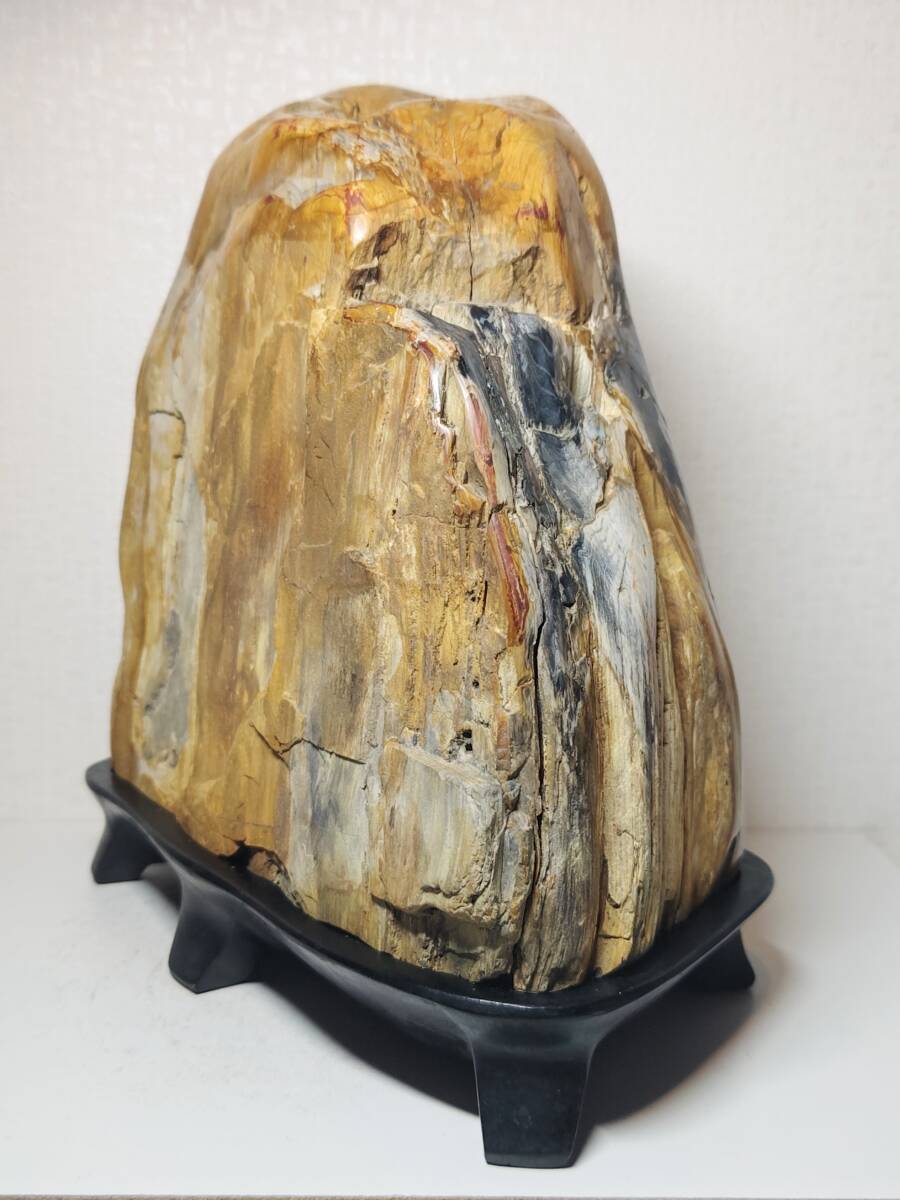 木化石】 12kg 珪化木 碧玉 ジャスパー 原石 鑑賞石 自然石 木化石】 12kg 珪化木 碧玉 ジャスパー 原石 鑑賞石 自然石