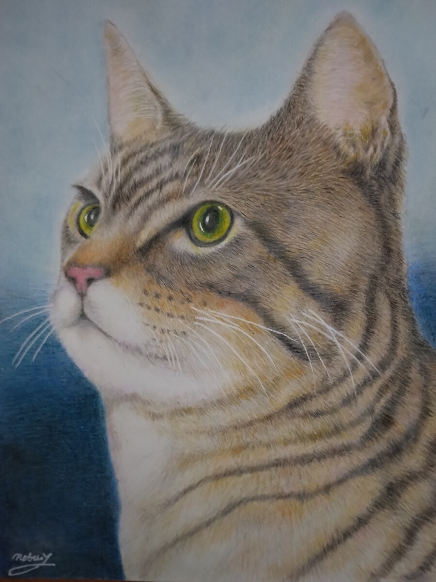 Yahoo!オークション - 猫色鉛筆画.キジトラ.A4サイズ Yahoo!オークション - 猫色鉛筆画.キジトラ.A4サイズ