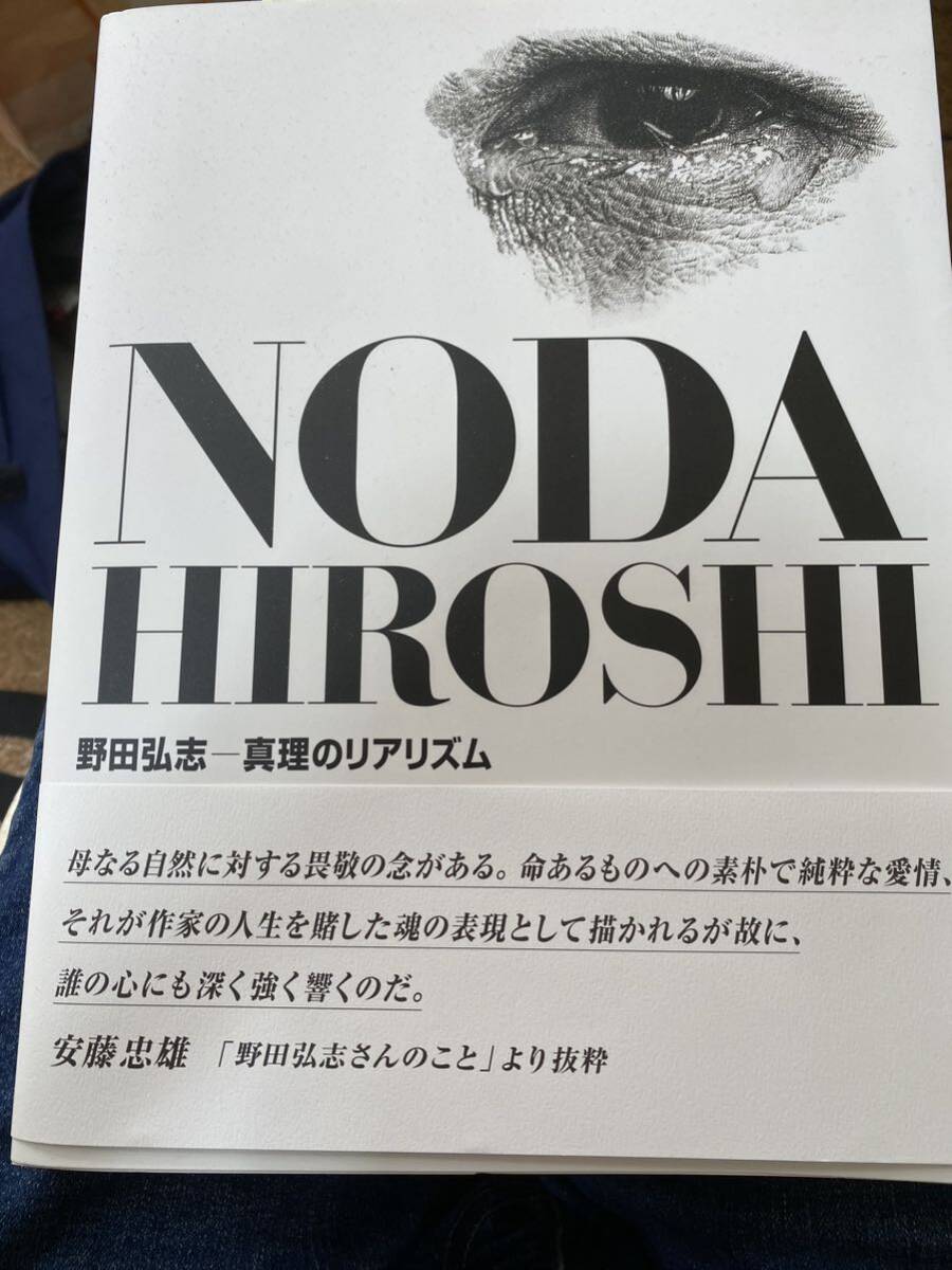 真筆】野田弘志 朝日新聞連載小説「湿原」原画 「真理の 真筆】野田弘志 朝日新聞連載小説「湿原」原画 「真理の