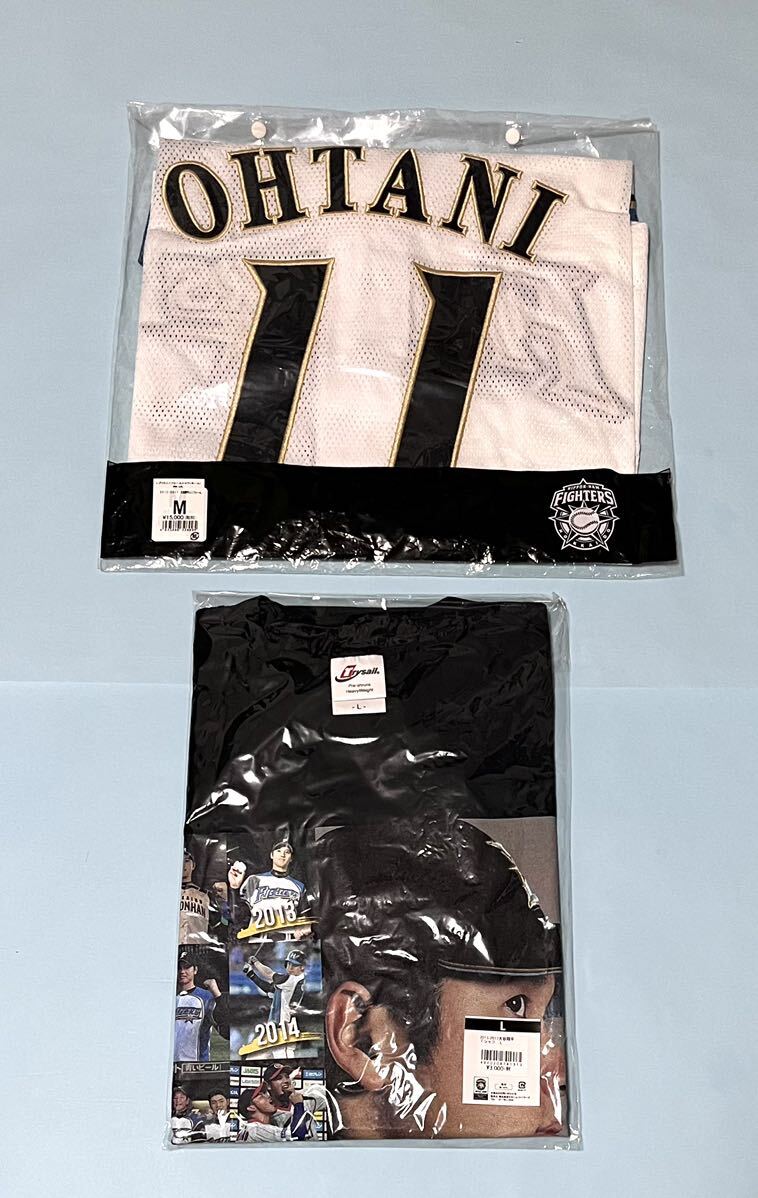 新品未開封 北海道日本ハムファイターズ 大谷翔平選手 新品未開封 北海道日本ハムファイターズ 大谷翔平選手