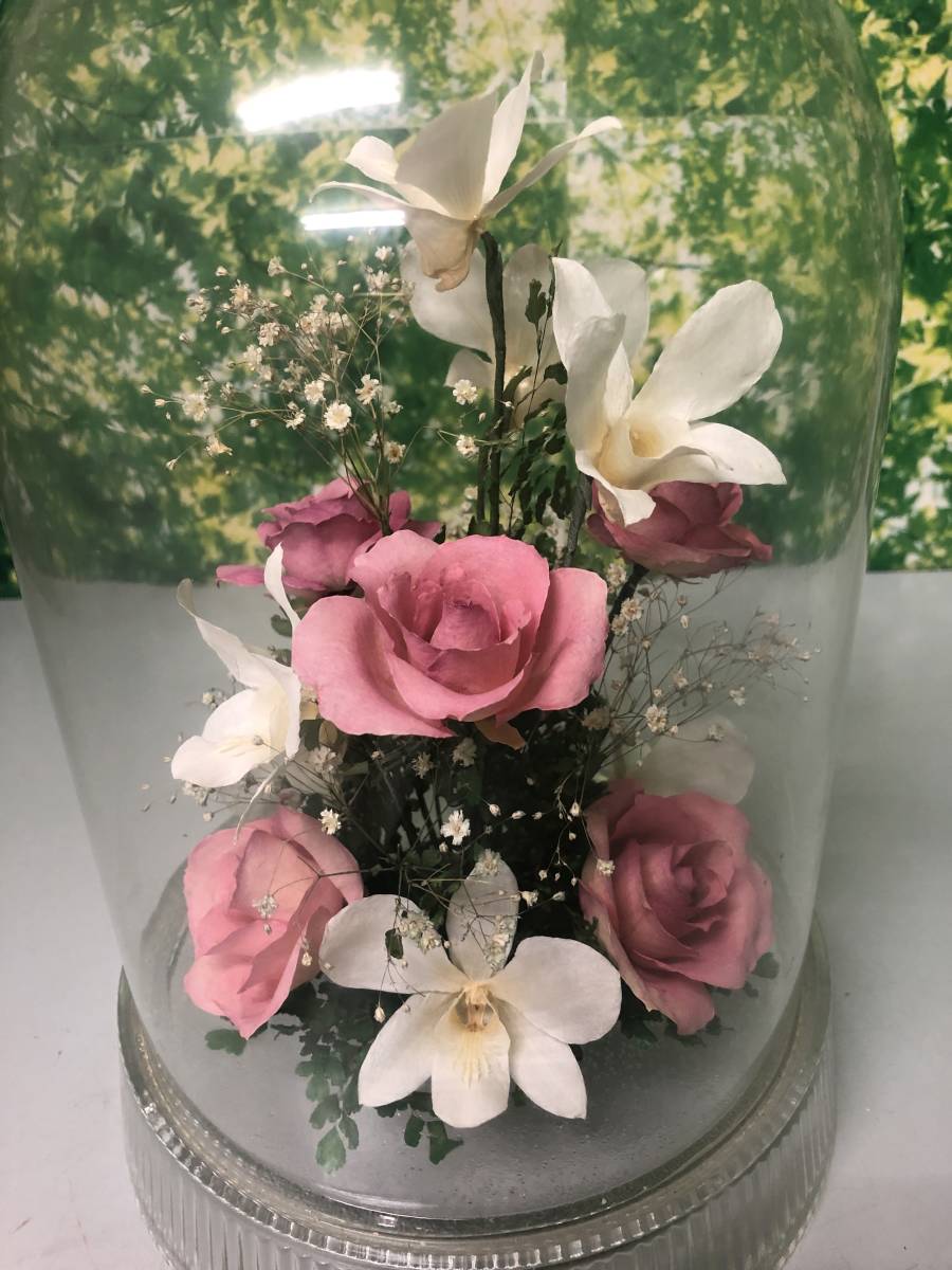 Reine De Fleur Len te flow ru. butterfly orchid * rose glass case Japan domestic production hand me-do ornament natural flower ②