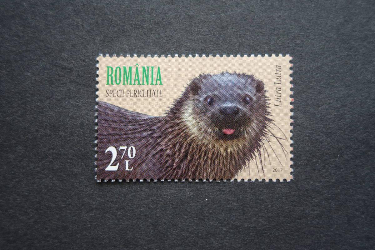 外国切手：ルーマニア切手 「絶滅危惧種」 4種完 未使用_画像6