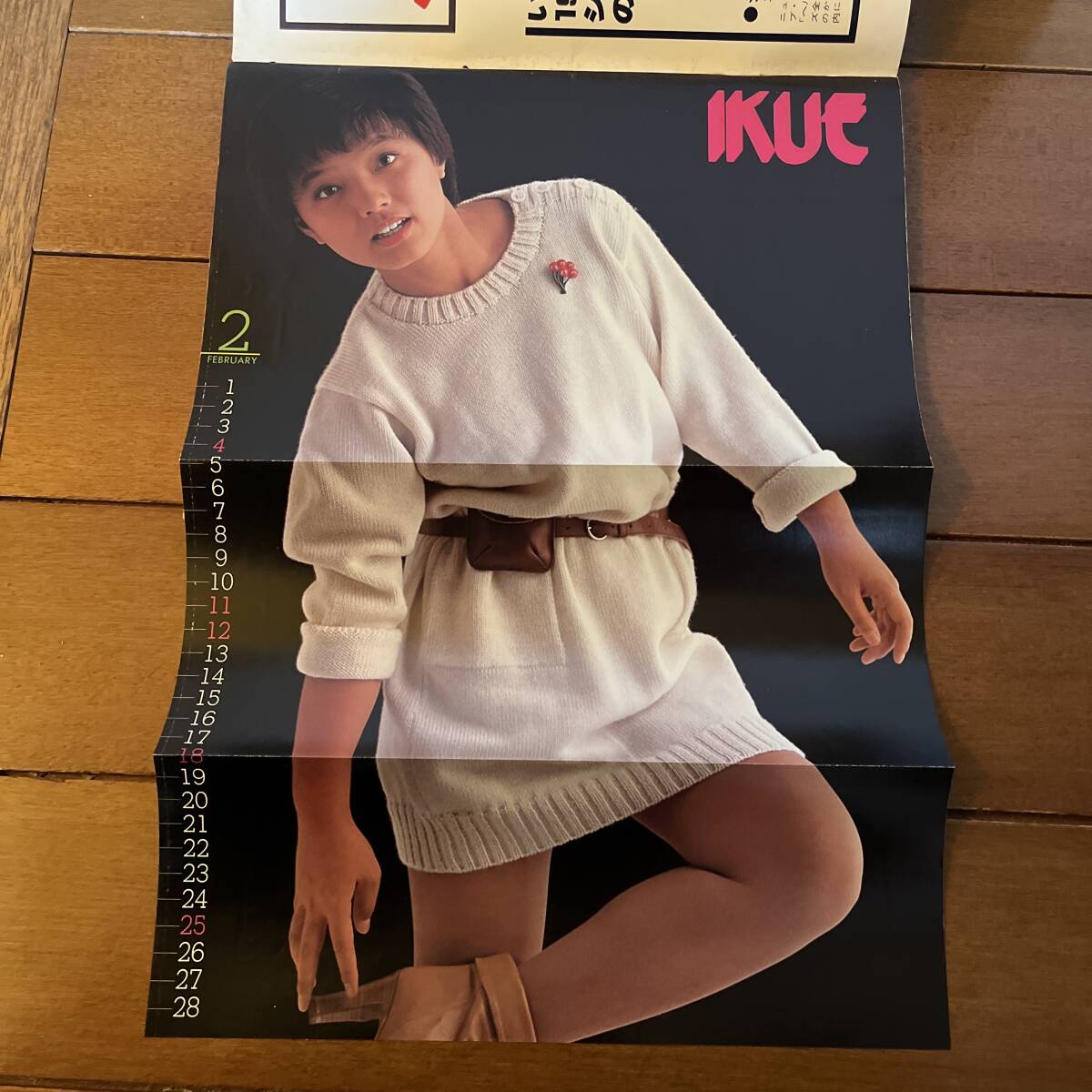 映画ファン 1979年 2月号 折込ピンナップ=榊原郁恵 紺野美沙子 映画ファン 1979年 2月号 折込ピンナップ=榊原郁恵 紺野美沙子