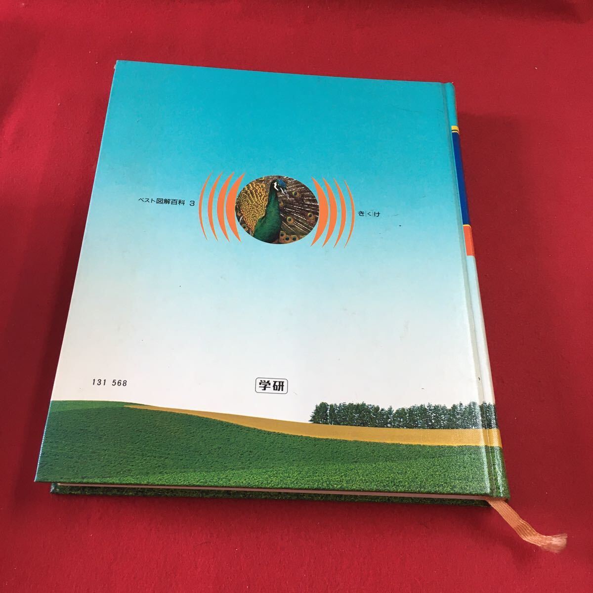 item_image_2