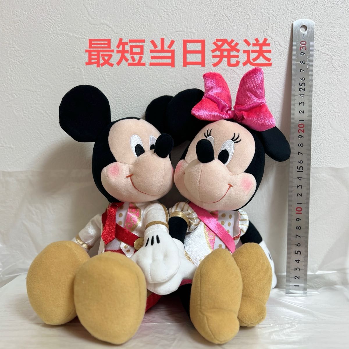 ミッキー&ミニー #MY推しDAYS inライブ ペアぬいぐるみ ミッキー&ミニー #MY推しDAYS inライブ ペアぬいぐるみ