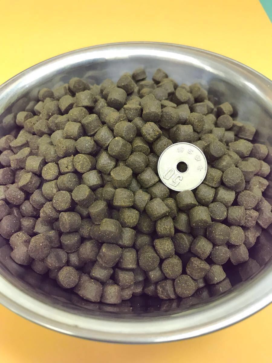 100%正規品 海上釣り堀の餌 業務用ハマチ飼料1kg入り ハマチ ブリ ヒラマサ 配合餌