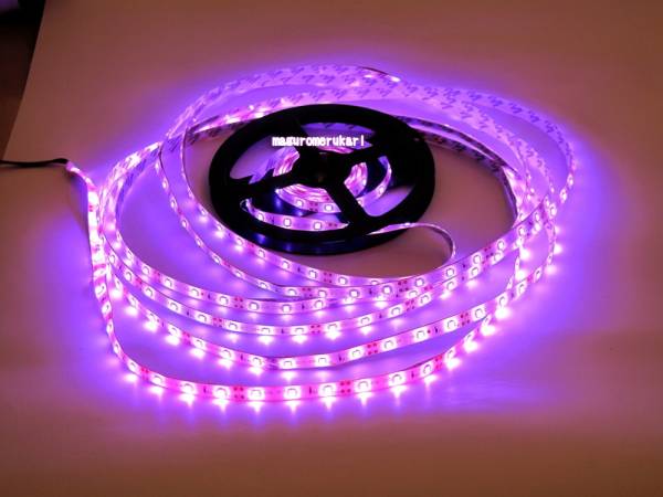 限定色 ピンクパープル 5m LEDテープ 紫 防水仕様12V 女子ウケ 限定色 ピンクパープル 5m LEDテープ 紫 防水仕様12V 女子ウケ