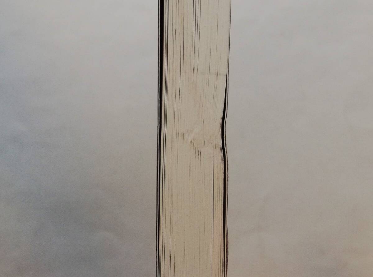 Dante Alighieri / La Divina Commedia Paradiso (イタリア語 Dante Alighieri / La Divina Commedia Paradiso (イタリア語