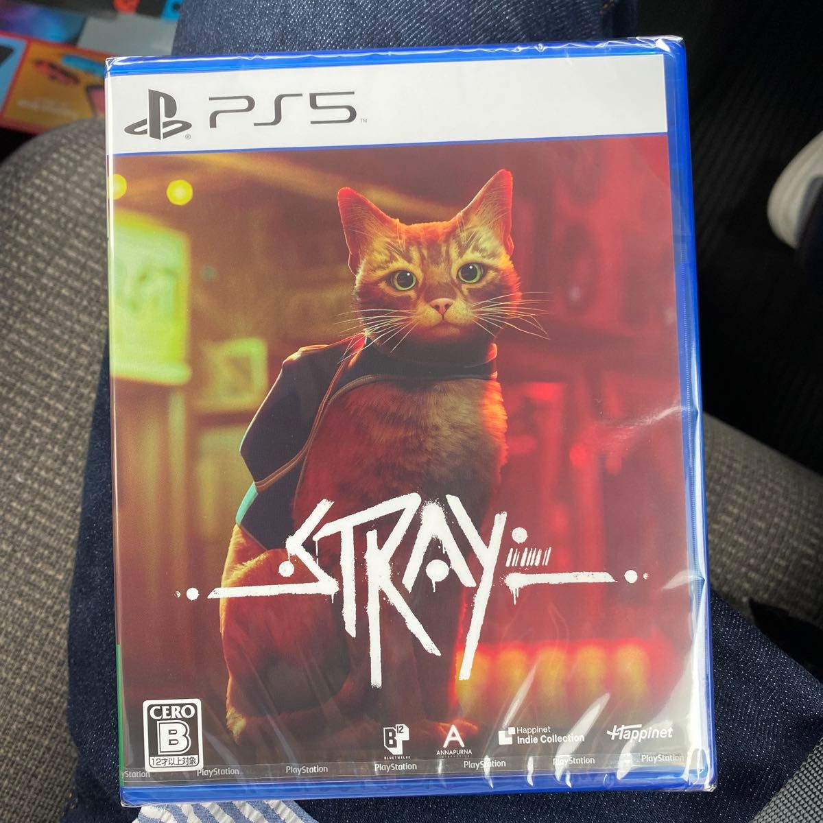 【PS5】 Stray [通常版]