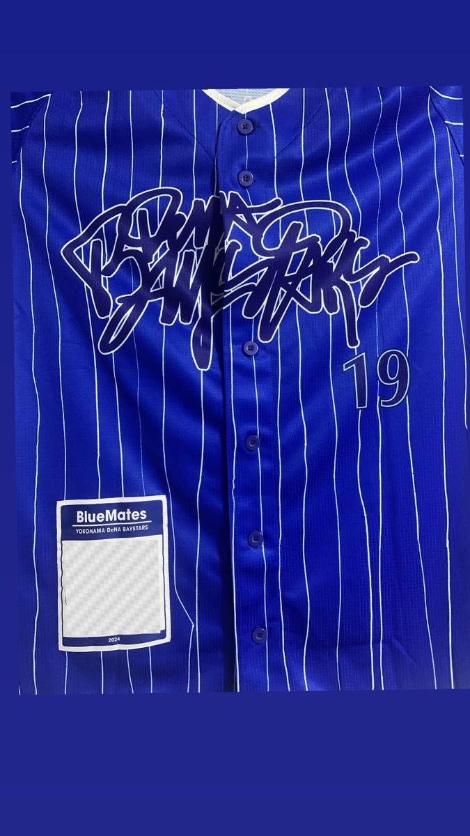 横浜 DeNA ベイスターズ ファンクラブ BLUEMATES ファンクラブ 横浜 DeNA ベイスターズ ファンクラブ BLUEMATES ファンクラブ