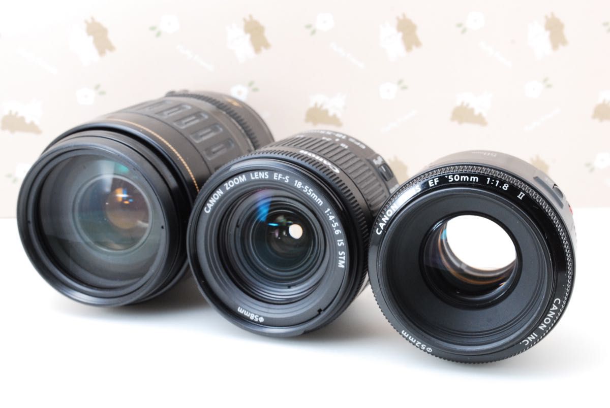 Wi-Fi 美品 レンズ3本 Canon Kiss X10i 最新機種 高性能デジタル Wi-Fi 美品 レンズ3本 Canon Kiss X10i 最新機種 高性能デジタル