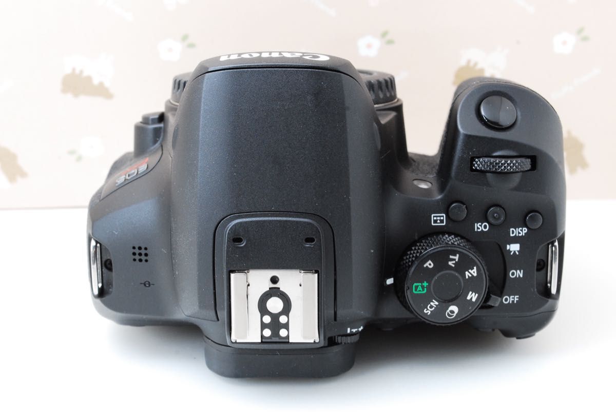 Wi-Fi 美品 レンズ3本 Canon Kiss X10i 最新機種 高性能デジタル Wi-Fi 美品 レンズ3本 Canon Kiss X10i 最新機種 高性能デジタル
