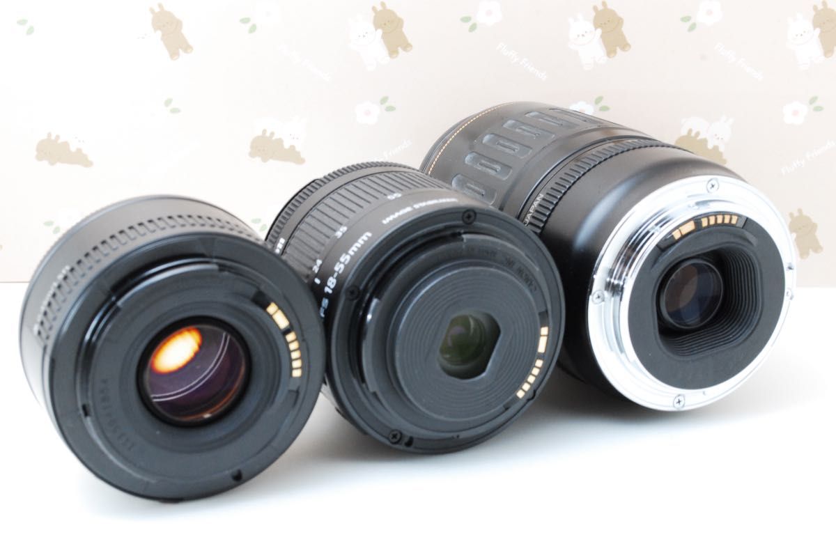 Wi-Fi 美品 レンズ3本 Canon Kiss X10i 最新機種 高性能デジタル Wi-Fi 美品 レンズ3本 Canon Kiss X10i 最新機種 高性能デジタル