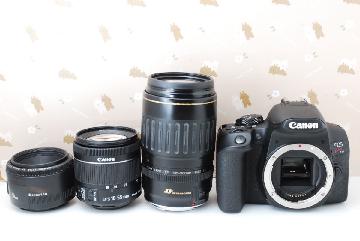 Wi-Fi 美品 レンズ3本 Canon Kiss X10i 最新機種 高性能デジタル Wi-Fi 美品 レンズ3本 Canon Kiss X10i 最新機種 高性能デジタル
