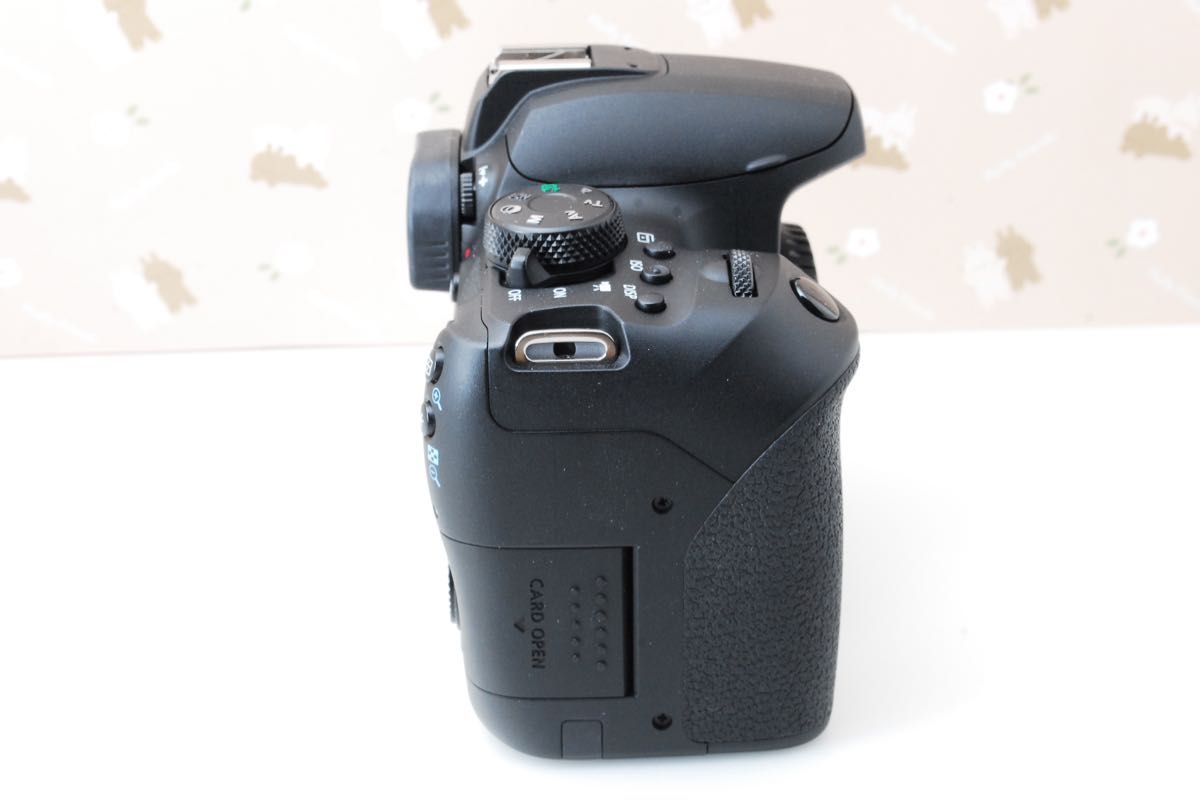 Wi-Fi 美品 レンズ3本 Canon Kiss X10i 最新機種 高性能デジタル Wi-Fi 美品 レンズ3本 Canon Kiss X10i 最新機種 高性能デジタル