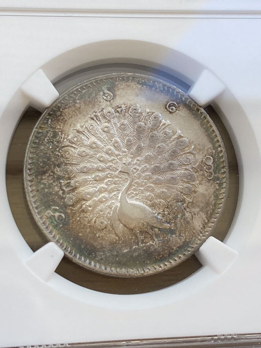 NGC鑑定AU50】1852年 ビルマ ミャンマー 孔雀 クジャク 1 NGC鑑定AU50】1852年 ビルマ ミャンマー 孔雀 クジャク 1