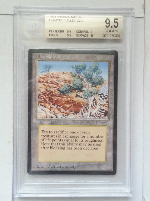 97500円 ○MTG○ AN Diamond Valley(英語 BGS 9.5 GEM MINT) - 土地 97500円 ○MTG○ AN Diamond Valley(英語 BGS 9.5 GEM MINT) - 土地