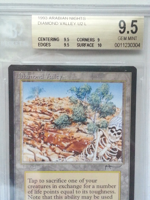 ○MTG○ AN Diamond Valley(英語 BGS 9.5 GEM MINT) ○MTG○ AN Diamond Valley(英語 BGS 9.5 GEM MINT)