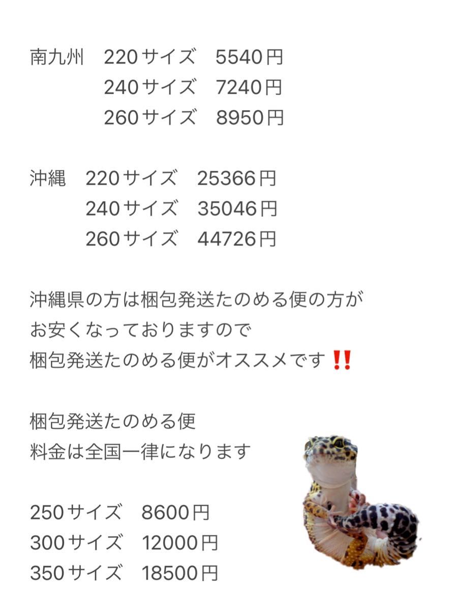 爬虫類ケージ 120×60×60 ケージ 飼育ケージ ペットケージ 小動物 爬虫類ケージ 120×60×60 ケージ 飼育ケージ ペットケージ 小動物