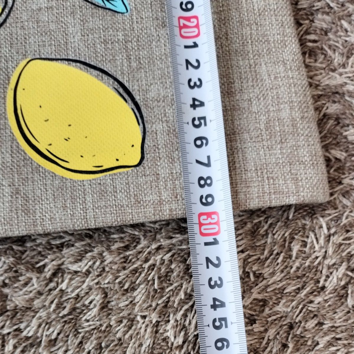 2024年カルディレモンバック    