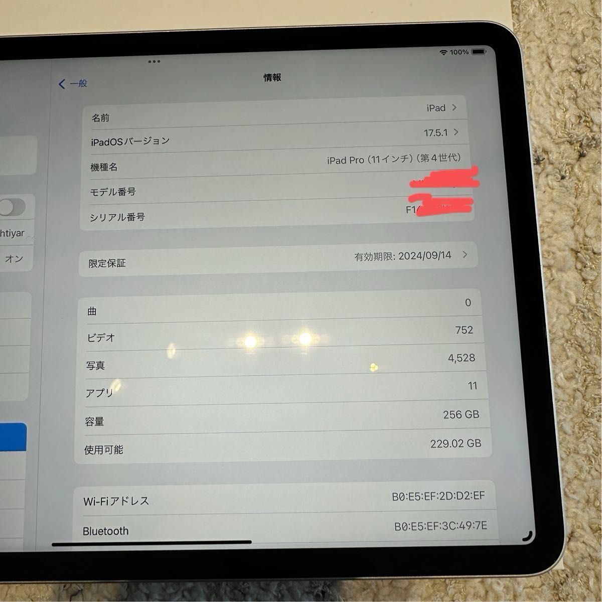 Apple iPad Pro 11インチ 第4世代 256GB シルバー wifi M2 Apple iPad Pro 11インチ 第4世代 256GB シルバー wifi M2