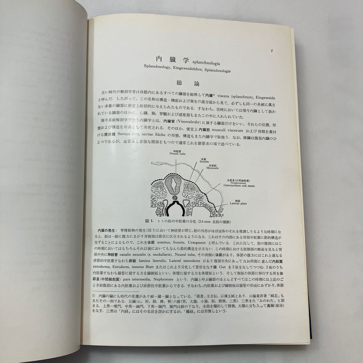 zaa-598 日本人体解剖学 第2巻 内蔵学・感覚器学 改訂11版 金子 zaa-598 日本人体解剖学 第2巻 内蔵学・感覚器学 改訂11版 金子
