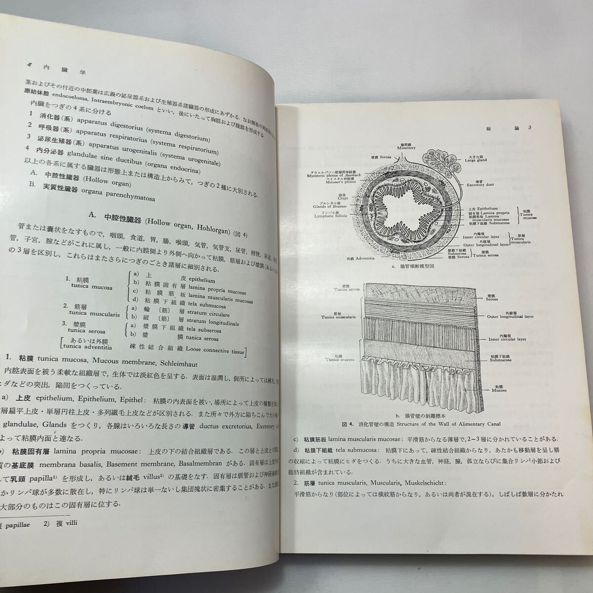 zaa-598 日本人体解剖学 第2巻 内蔵学・感覚器学 改訂11版 金子 zaa-598 日本人体解剖学 第2巻 内蔵学・感覚器学 改訂11版 金子