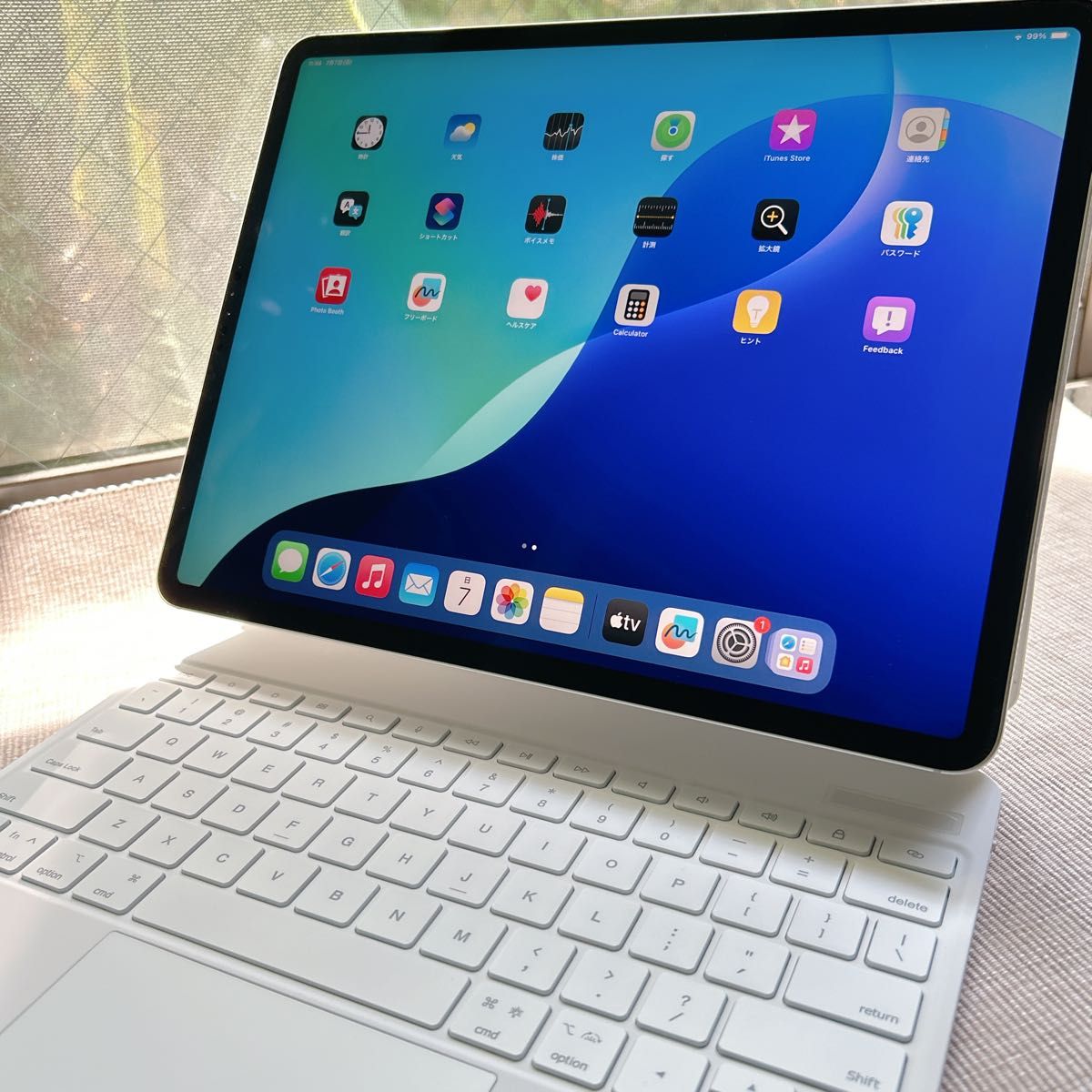 ジャンク iPad Pro12.9 第3世代 cell 256GB シルバー 美品 ジャンク iPad Pro12.9 第3世代 cell 256GB シルバー 美品