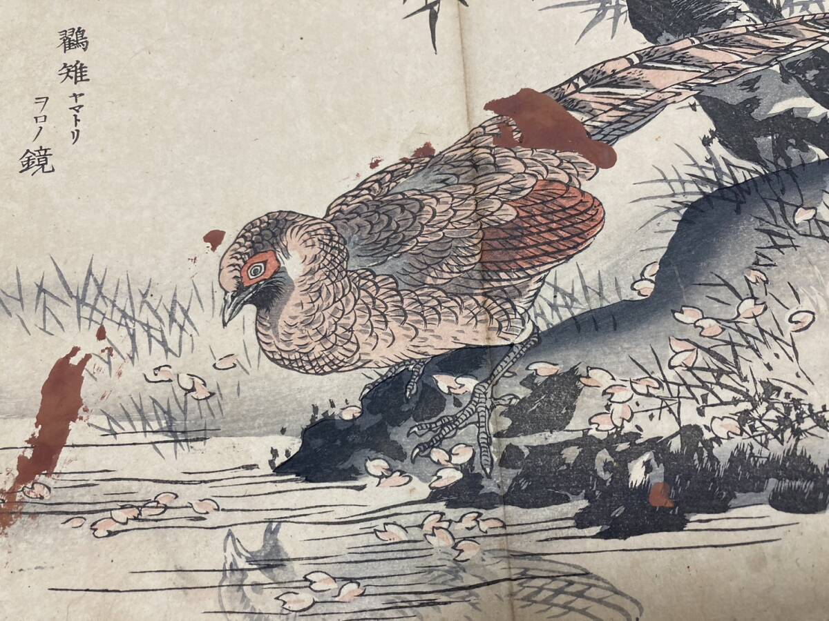 幸野楳嶺 木版画集「楳嶺画譜 花鳥之部」1冊25図 明治19年 彩色 幸野楳嶺 木版画集「楳嶺画譜 花鳥之部」1冊25図 明治19年 彩色