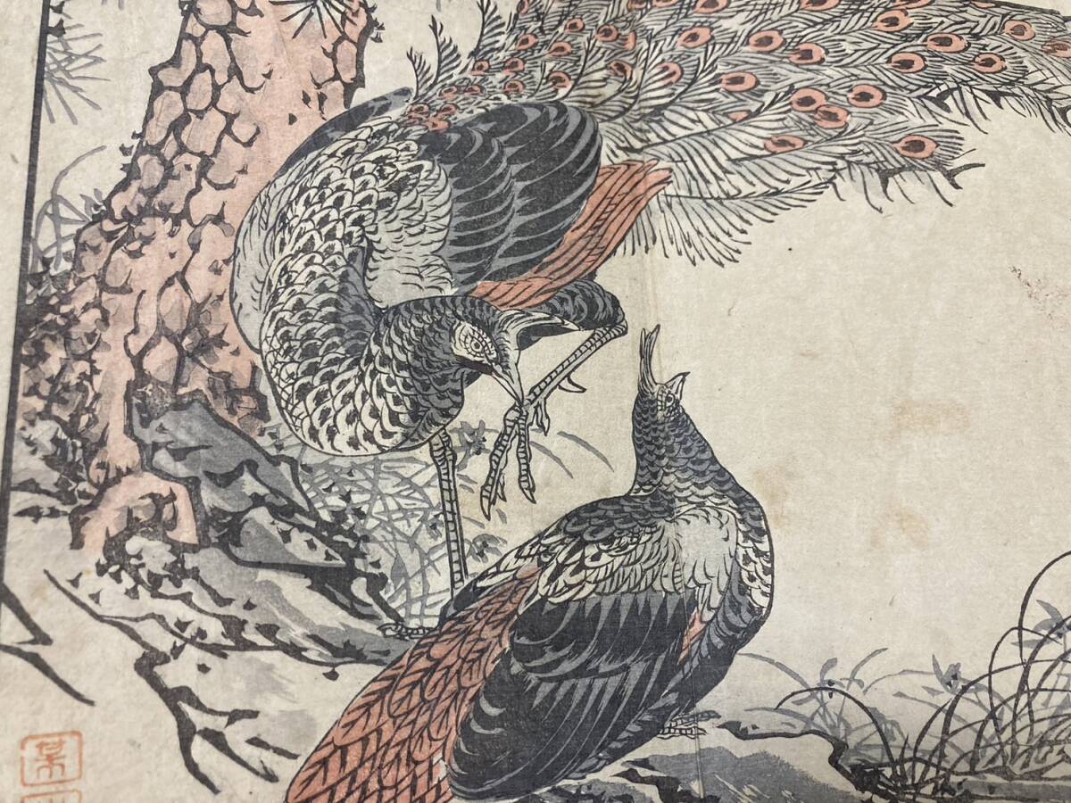 幸野楳嶺 木版画集「楳嶺画譜 花鳥之部」1冊25図 明治19年 彩色 幸野楳嶺 木版画集「楳嶺画譜 花鳥之部」1冊25図 明治19年 彩色