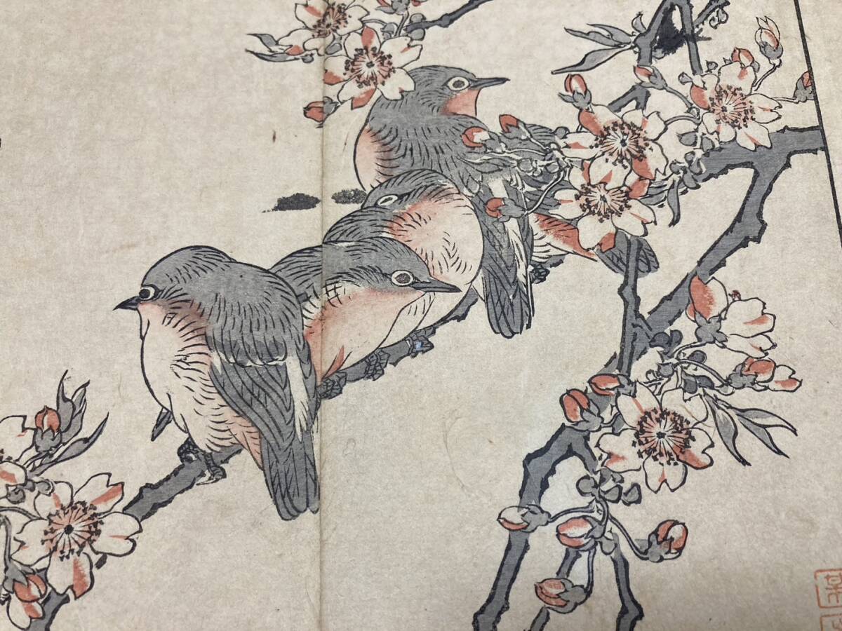 幸野楳嶺 木版画集「楳嶺画譜 花鳥之部」1冊25図 明治19年 彩色 幸野楳嶺 木版画集「楳嶺画譜 花鳥之部」1冊25図 明治19年 彩色