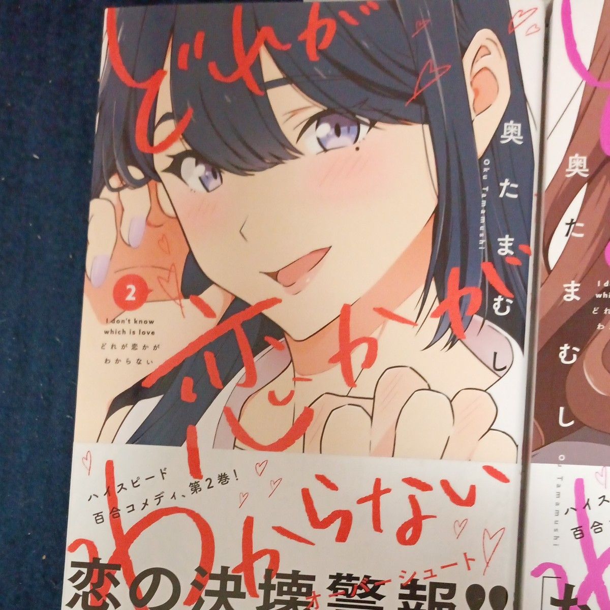 ほぼ未使用 全巻初版 既刊3巻全巻セット どれが恋かがわからない ほぼ未使用 全巻初版 既刊3巻全巻セット どれが恋かがわからない