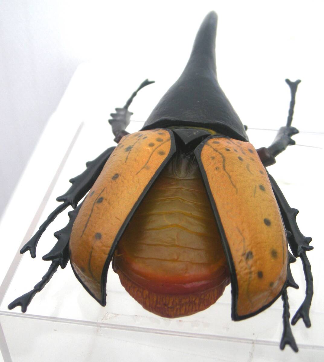 タカラ T-arts 昆虫の森 カブトvsクワガタ大決戦 オオクワガタ タカラ T-arts 昆虫の森 カブトvsクワガタ大決戦 オオクワガタ