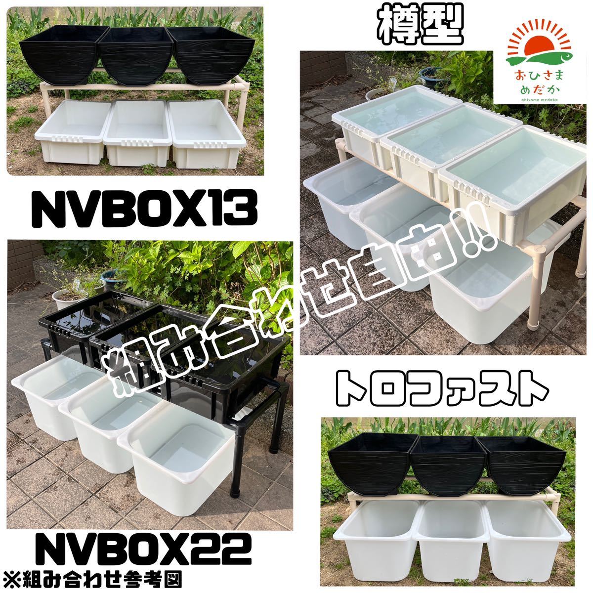 *me Dakar breeding black rack 1 step 8 piece put * medaka breeding shelves container shelves medaka container production egg photographing biotope elephant rim siPSBmi Gin ko breeding needle .. please 