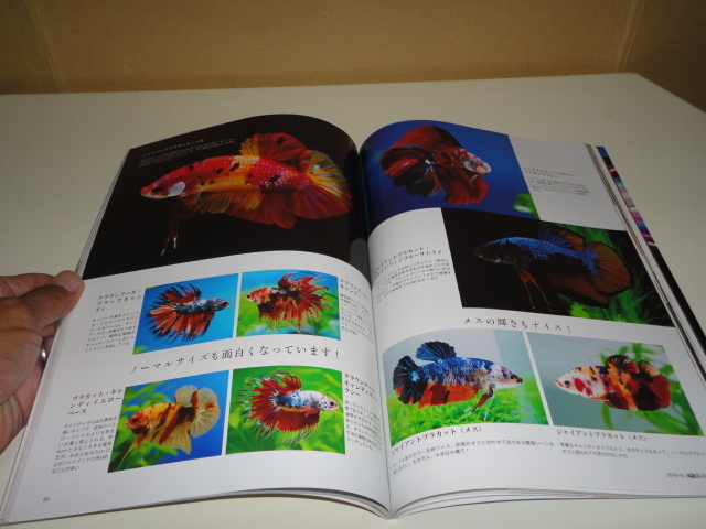 item_image_10