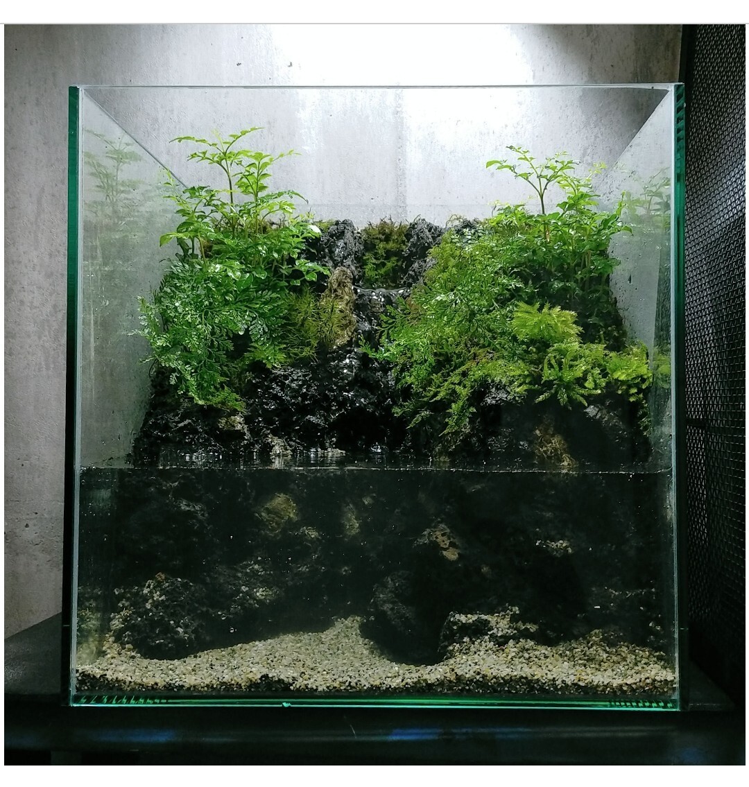 滝の流れるアクアテラリウム 完成品|Yahoo!フリマ(旧PayPay 滝の流れるアクアテラリウム 完成品|Yahoo!フリマ(旧PayPay