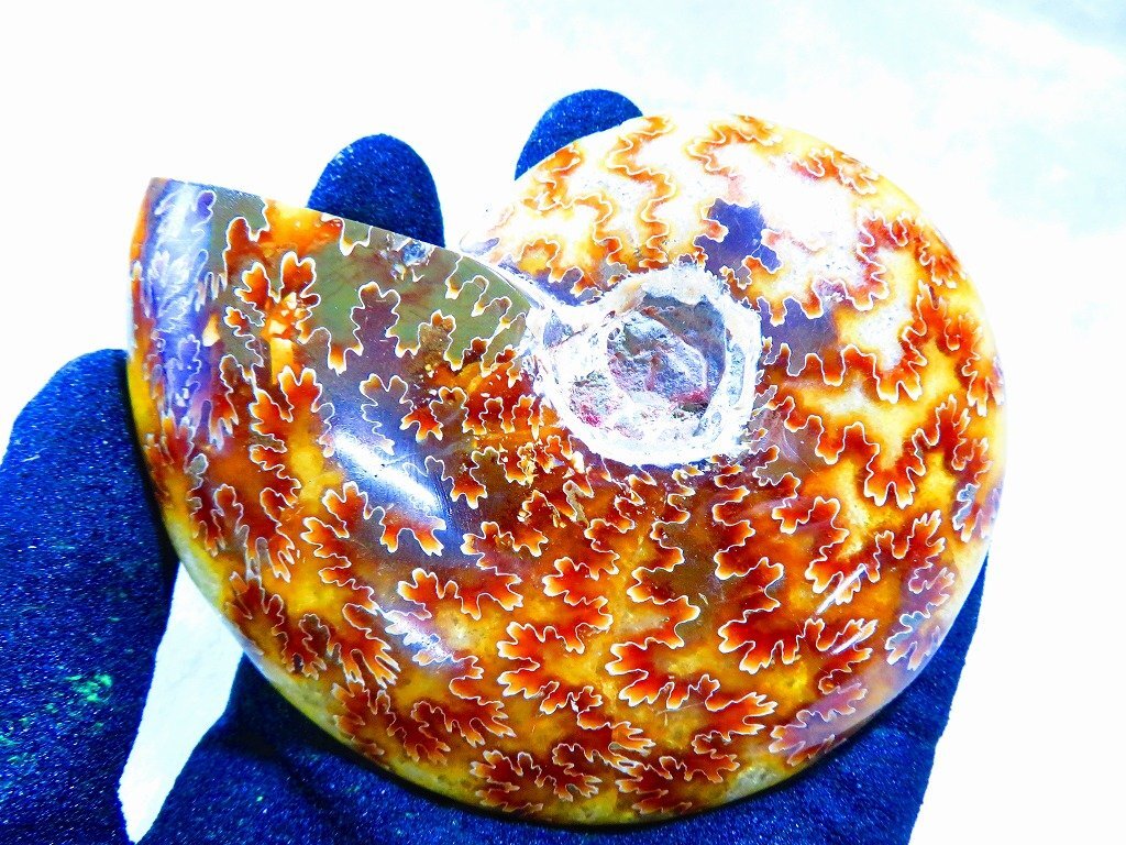 数万個の中の一個☆天然マダガスカル産 ☆ 縫合線オパール 数万個の中の一個☆天然マダガスカル産 ☆ 縫合線オパール
