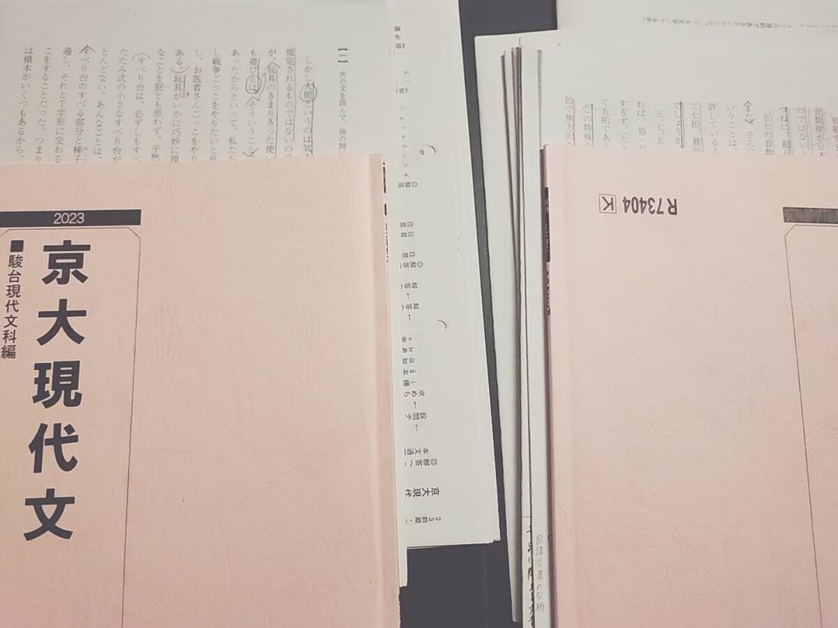 駿台 最新版 松本先生 23年通期 京大現代文 テキスト・板書 駿台 最新版 松本先生 23年通期 京大現代文 テキスト・板書