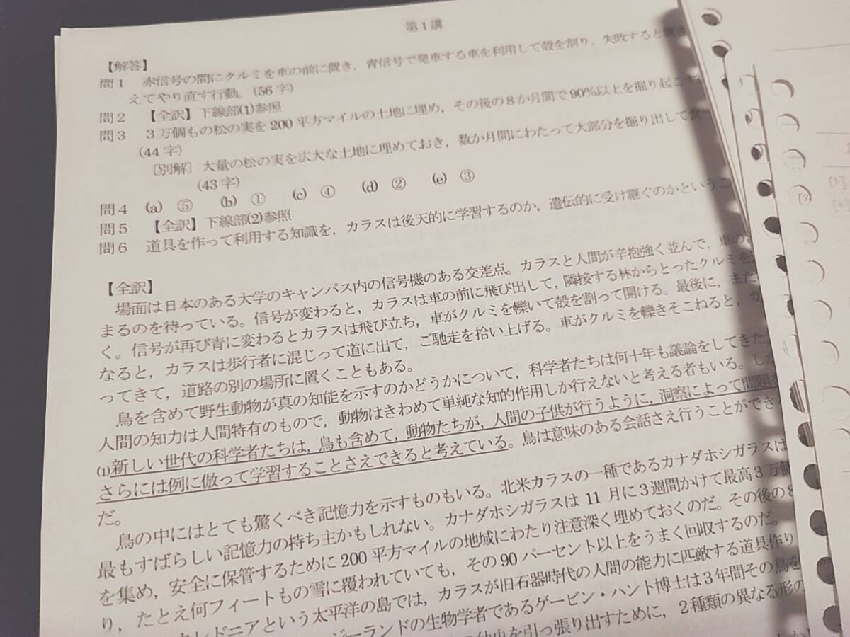 河合塾 登木健司先生 最新版 20年前期完結 長文総合英語T 河合塾 登木健司先生 最新版 20年前期完結 長文総合英語T