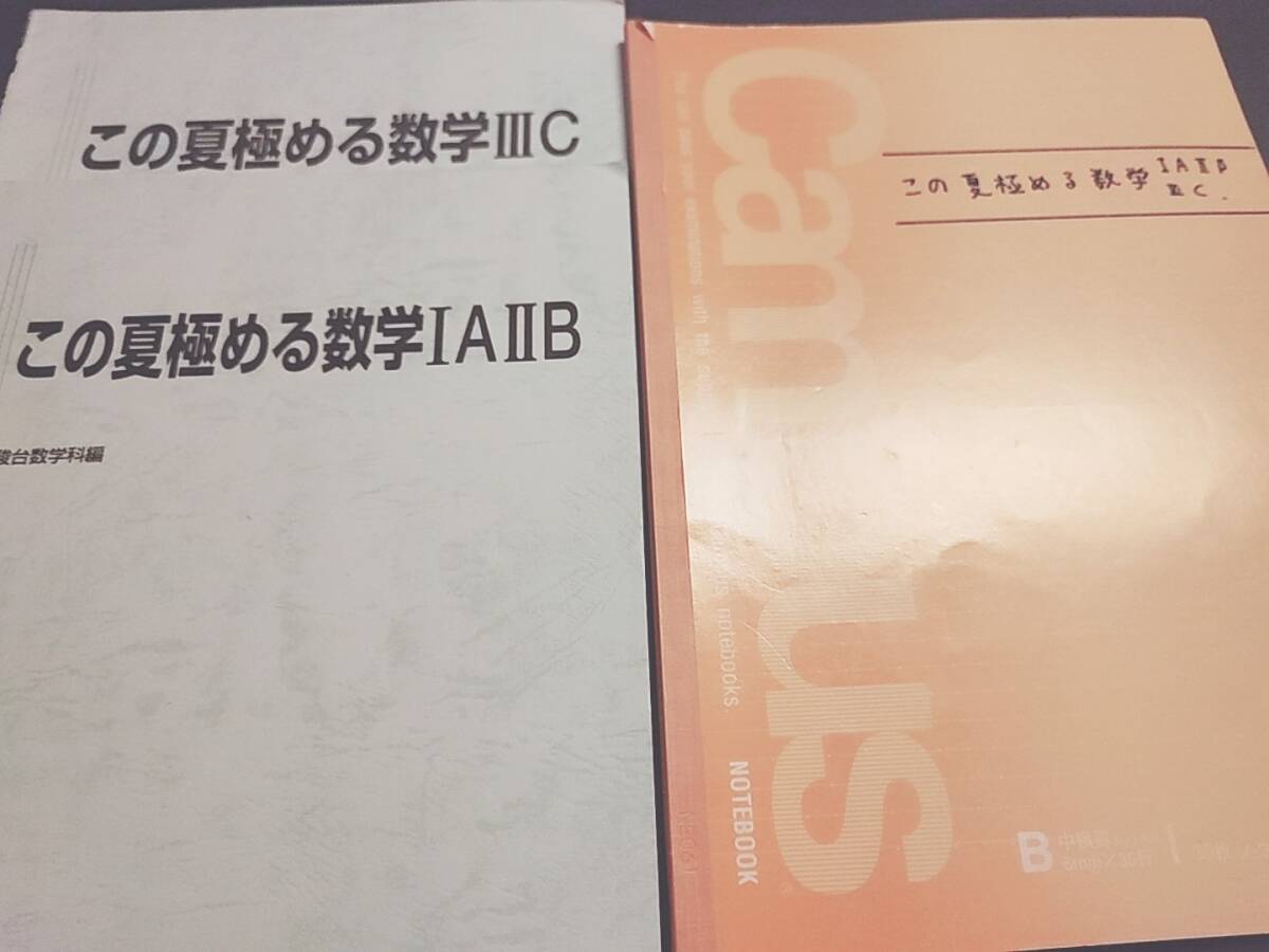 駿台 清史弘・雲幸一郎先生オリジナル講座 この夏極める数学 駿台 清史弘・雲幸一郎先生オリジナル講座 この夏極める数学