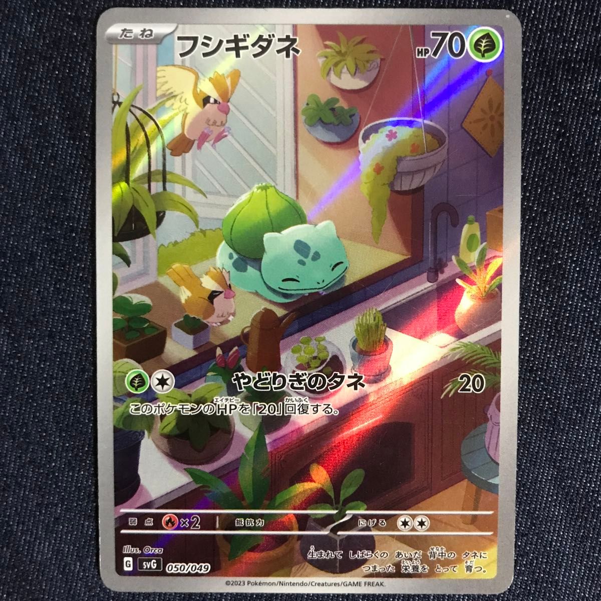 ⑤ ポケモンカード フシギダネ AR スペシャルデッキセットex ⑤ ポケモンカード フシギダネ AR スペシャルデッキセットex
