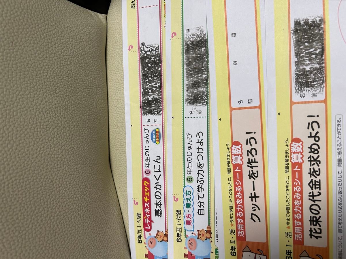 2024年版カラーテスト 小6 算数 啓林館/Nぶんけい テスト対策
