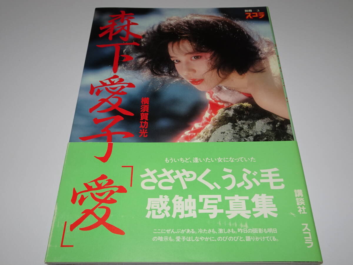 オンラインショップ 志摩国鳥羽藩士 字:孟昭『書』掛軸〔紙本肉筆真作〕貴族 藤田亮 和書