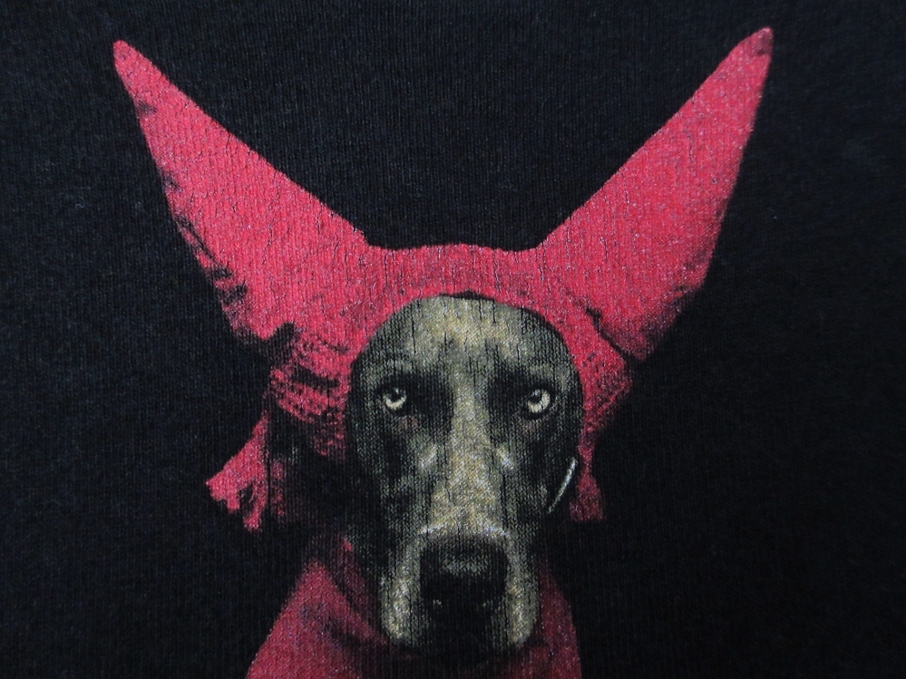 90's USA製 William Wegman FOTOFOLIO DEVIL DOG フォト Tシャツ M ワイマナラー犬 ウィリアム  ウェッグマン 写真 芸術 ART現代美術 美術館