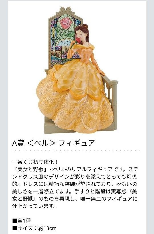 美女と野獣 アクセサリーケース 未使用 ブリスター付き 美女と野獣 アクセサリーケース 未使用 ブリスター付き