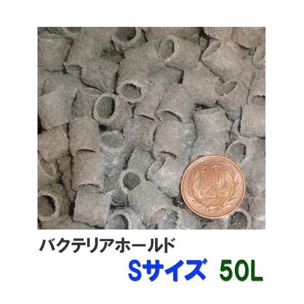 Yahoo!オークション - ゼンスイ バクテリアホールド Sサイズ(12Φ Yahoo!オークション - ゼンスイ バクテリアホールド Sサイズ(12Φ